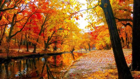 high resolution fall background|autumn background wallpaper free.